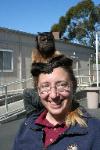 Jennifer with Tom Gunderson's capuchin Crystal